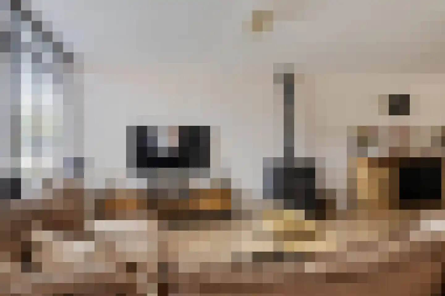 Sportlaan 3 Nieuw-Buinen thumbnail 8