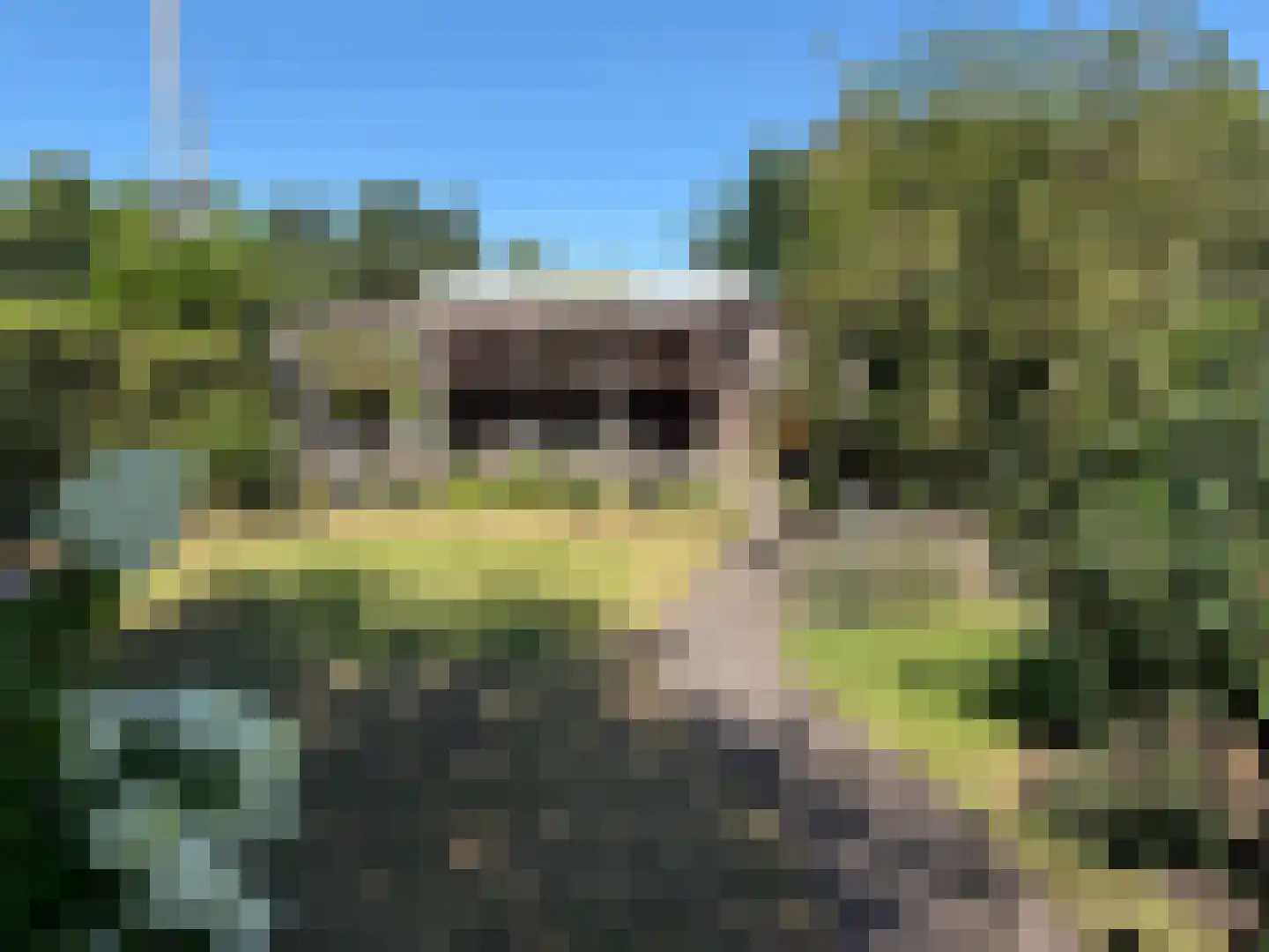 Sportlaan 3 Santpoort-Zuid thumbnail 34