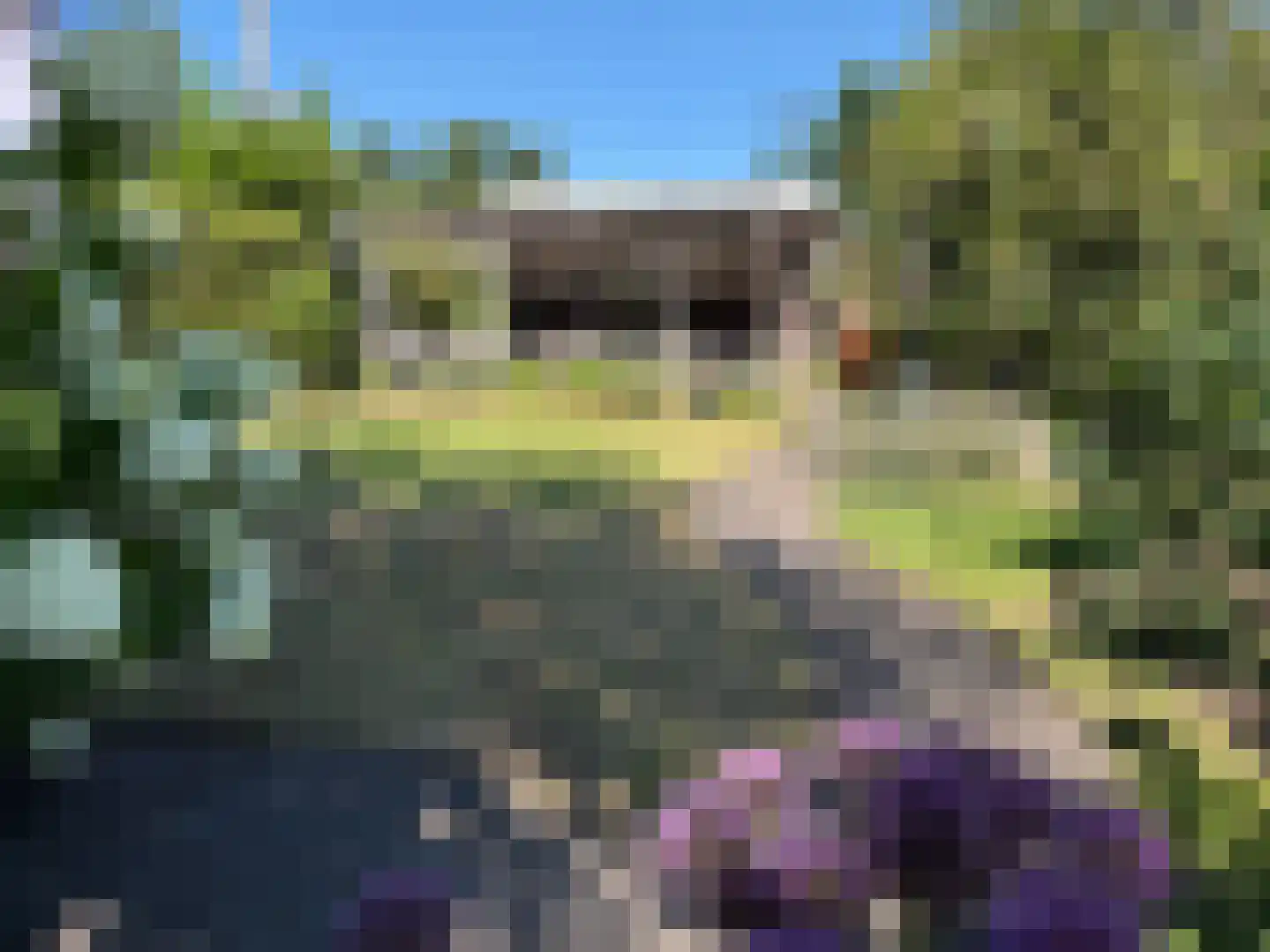 Sportlaan 3 Santpoort-Zuid thumbnail 4