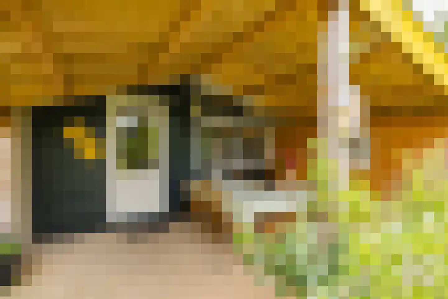 Sportlaan 3 Santpoort-Zuid thumbnail 4
