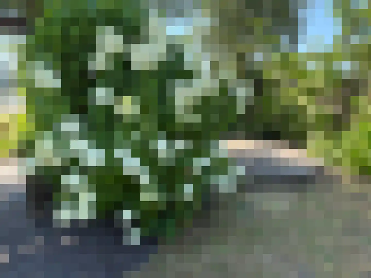 Sportlaan 3 Santpoort-Zuid thumbnail 5