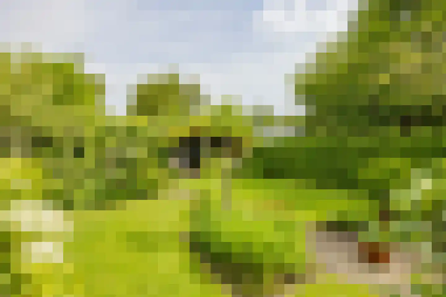 Sportlaan 3 Santpoort-Zuid thumbnail 6