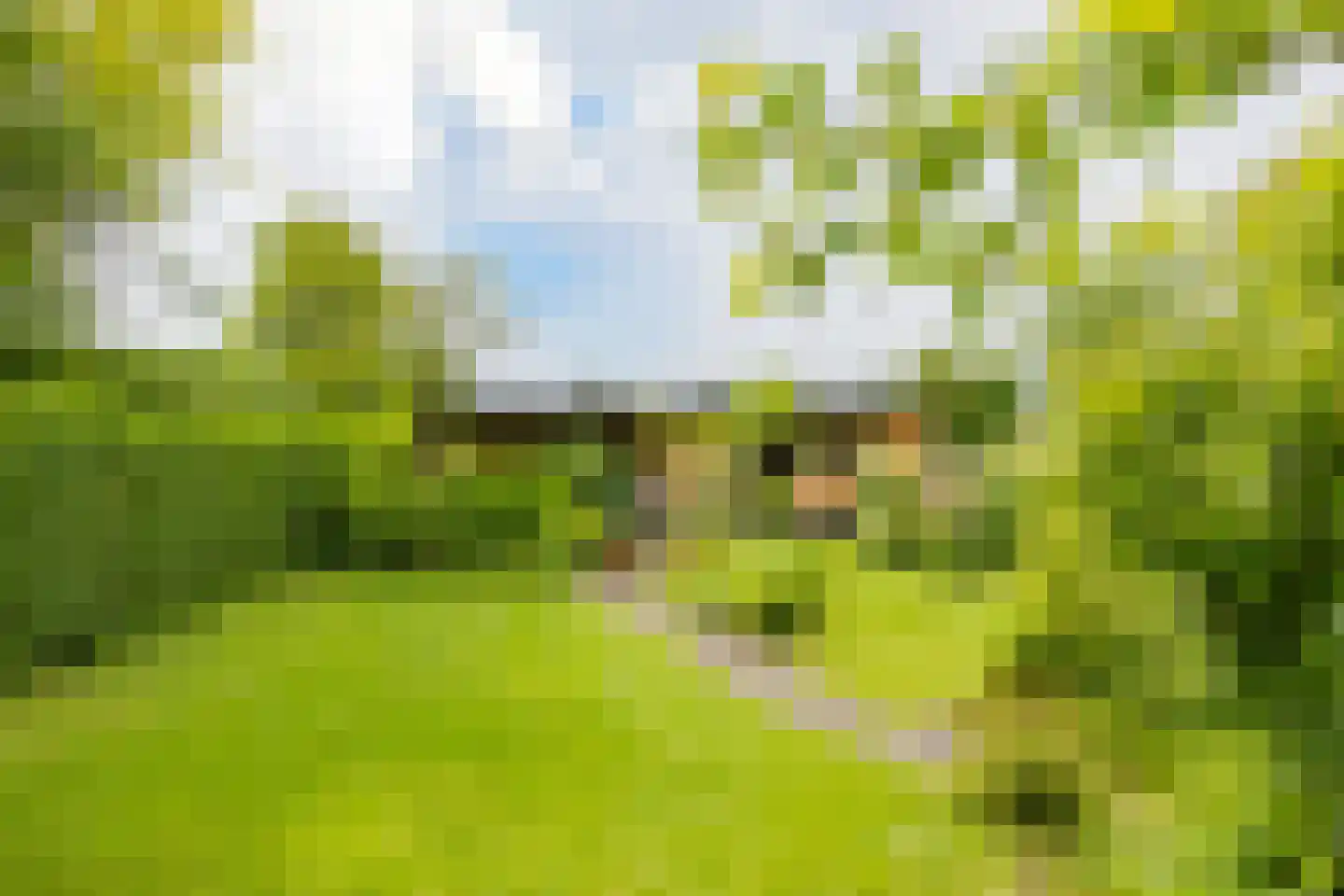 Sportlaan 3 Santpoort-Zuid thumbnail 7