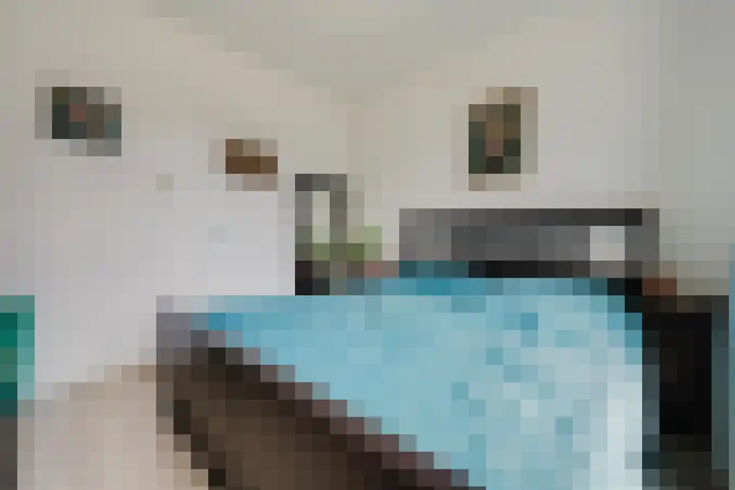 Sportlaan 3 Spijkenisse thumbnail 17