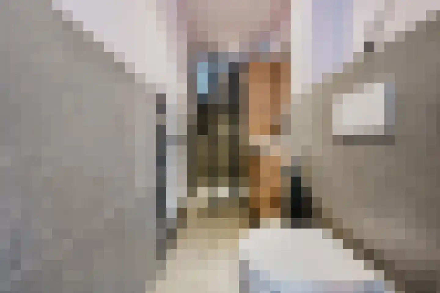 Sportlaan 3 Spijkenisse thumbnail 18