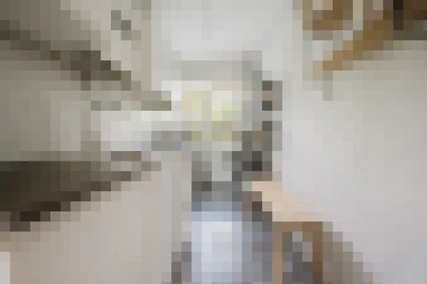 Sportlaan 3 Spijkenisse thumbnail 23