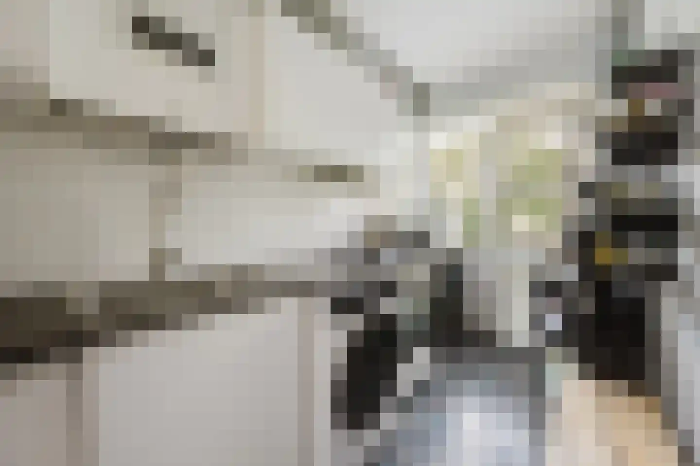 Sportlaan 3 Spijkenisse thumbnail 4