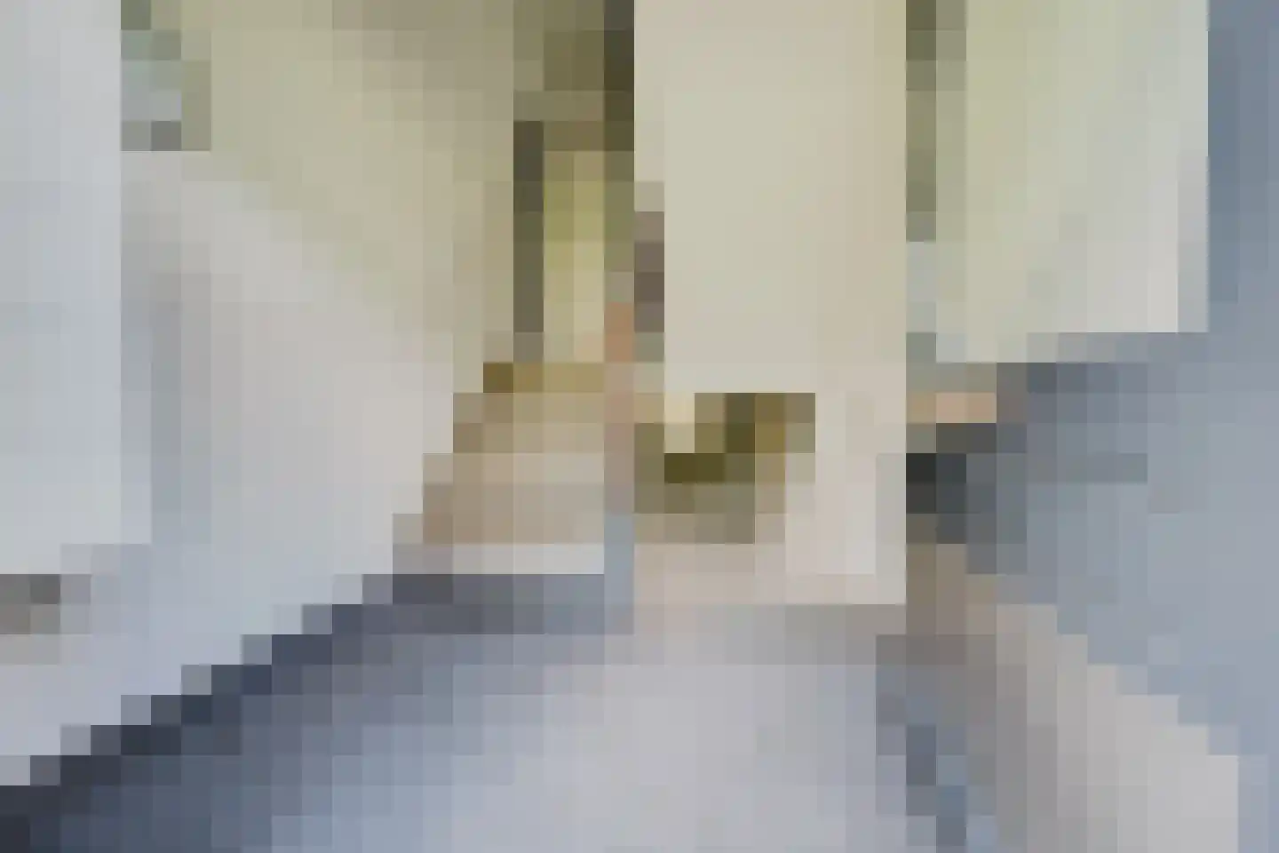 Sportlaan 3 Spijkenisse thumbnail 8