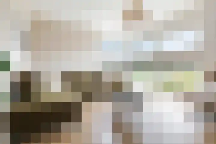 Sportlaan 31 Bedum thumbnail 13