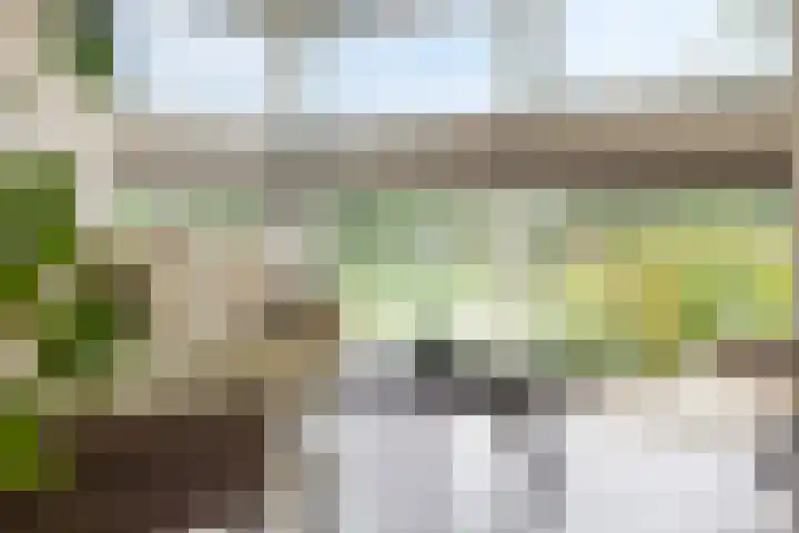 Sportlaan 31 Bedum thumbnail 14