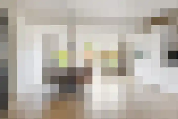 Sportlaan 31 Bedum thumbnail 17