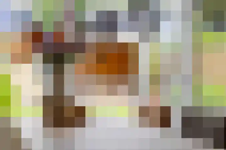 Sportlaan 31 Bedum thumbnail 19