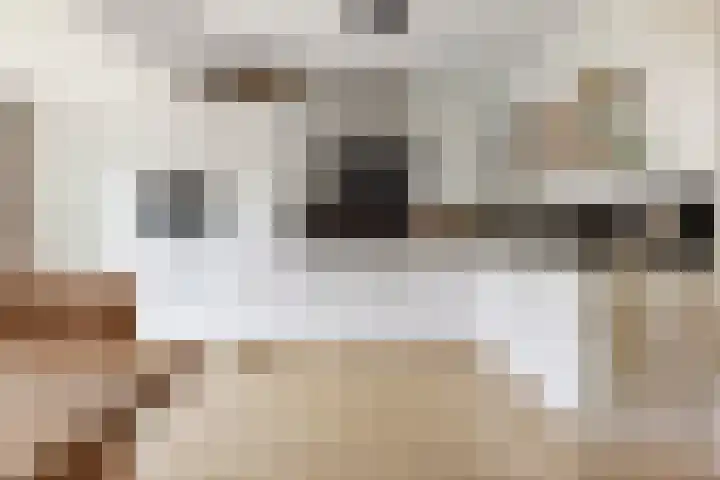 Sportlaan 31 Bedum thumbnail 20