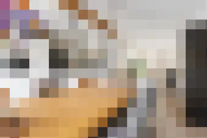 Sportlaan 31 Bedum thumbnail 22