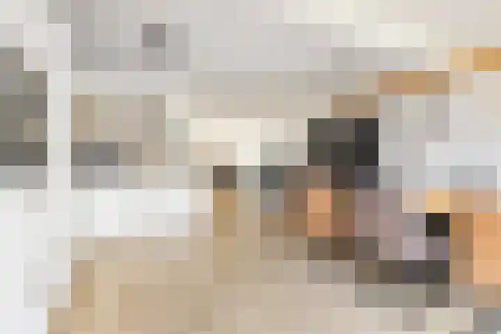 Sportlaan 31 Bedum thumbnail 25