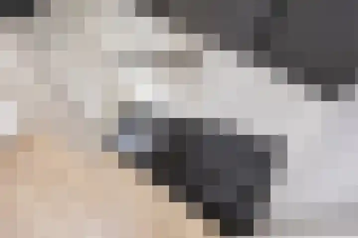 Sportlaan 31 Bedum thumbnail 40