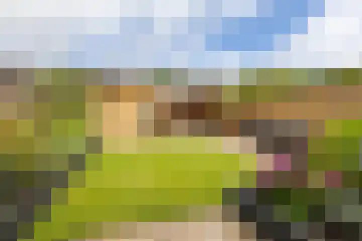 Sportlaan 31 Bedum thumbnail 43