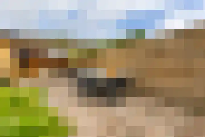 Sportlaan 31 Bedum thumbnail 44