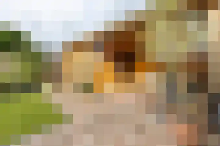 Sportlaan 31 Bedum thumbnail 45