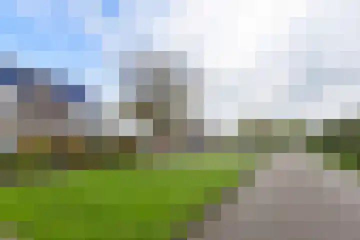 Sportlaan 31 Bedum thumbnail 49