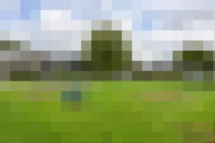 Sportlaan 31 Bedum thumbnail 50