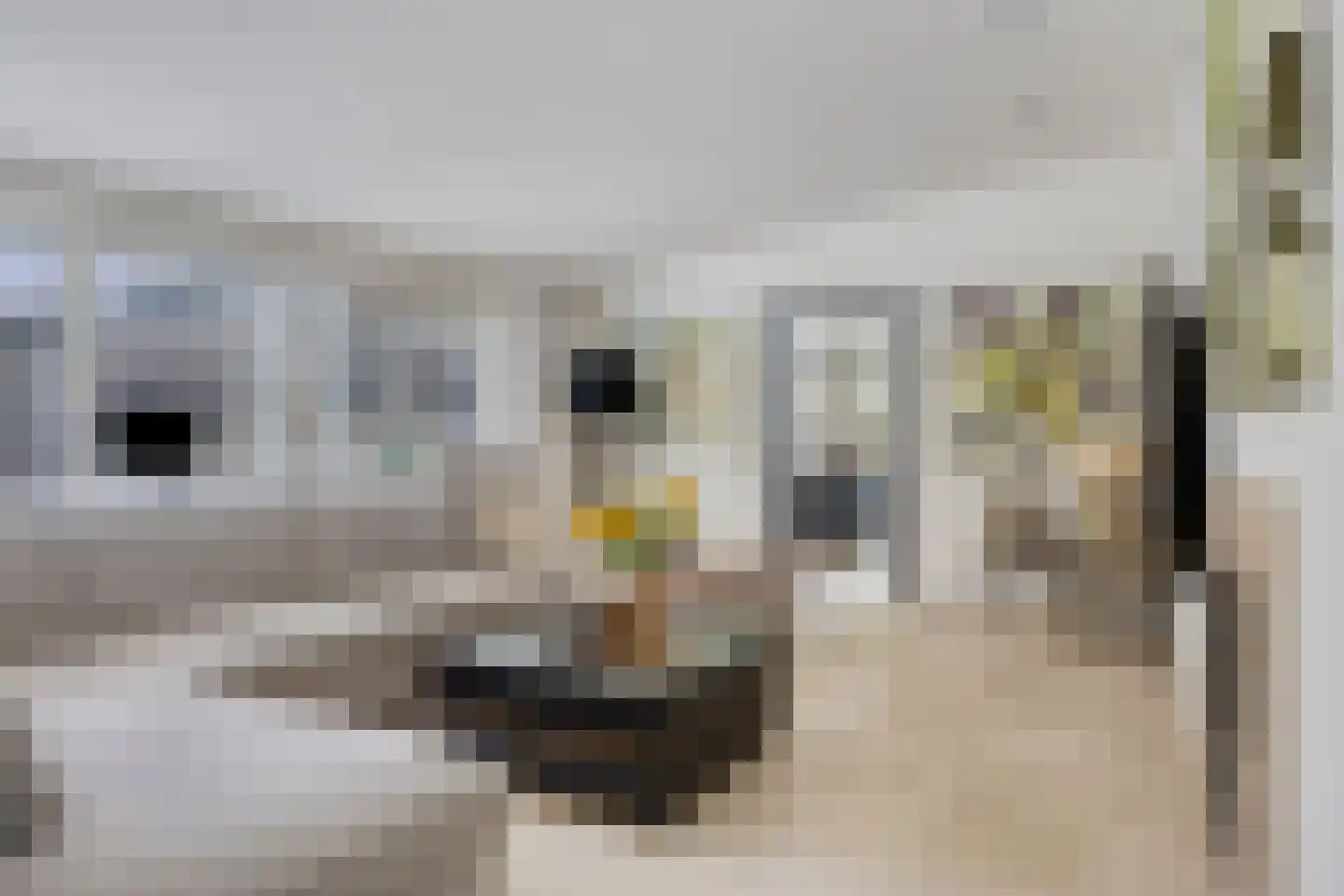 Sportlaan 32 Losser thumbnail 12