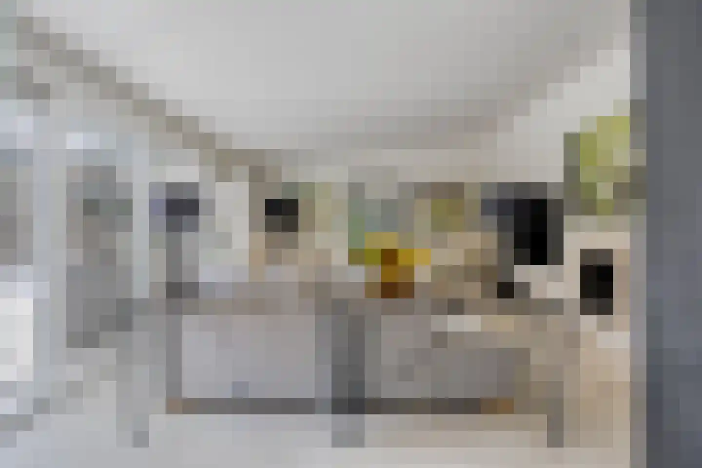 Sportlaan 32 Losser thumbnail 15