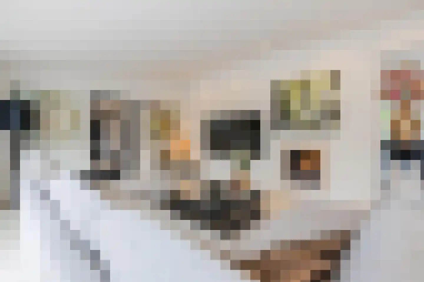 Sportlaan 32 Losser thumbnail 17