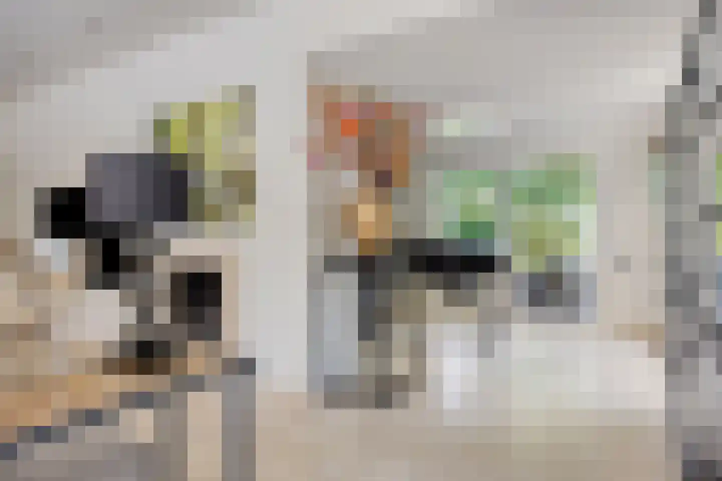 Sportlaan 32 Losser thumbnail 17