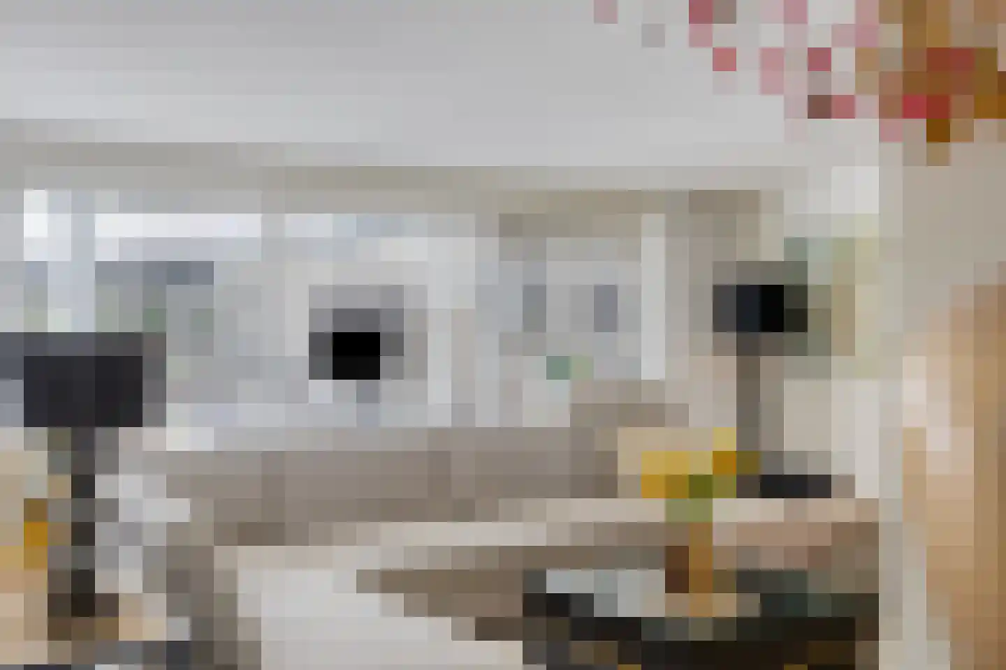 Sportlaan 32 Losser thumbnail 18