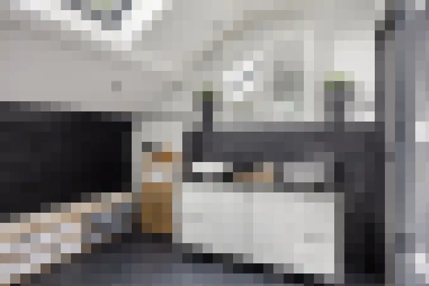 Sportlaan 32 Losser thumbnail 52