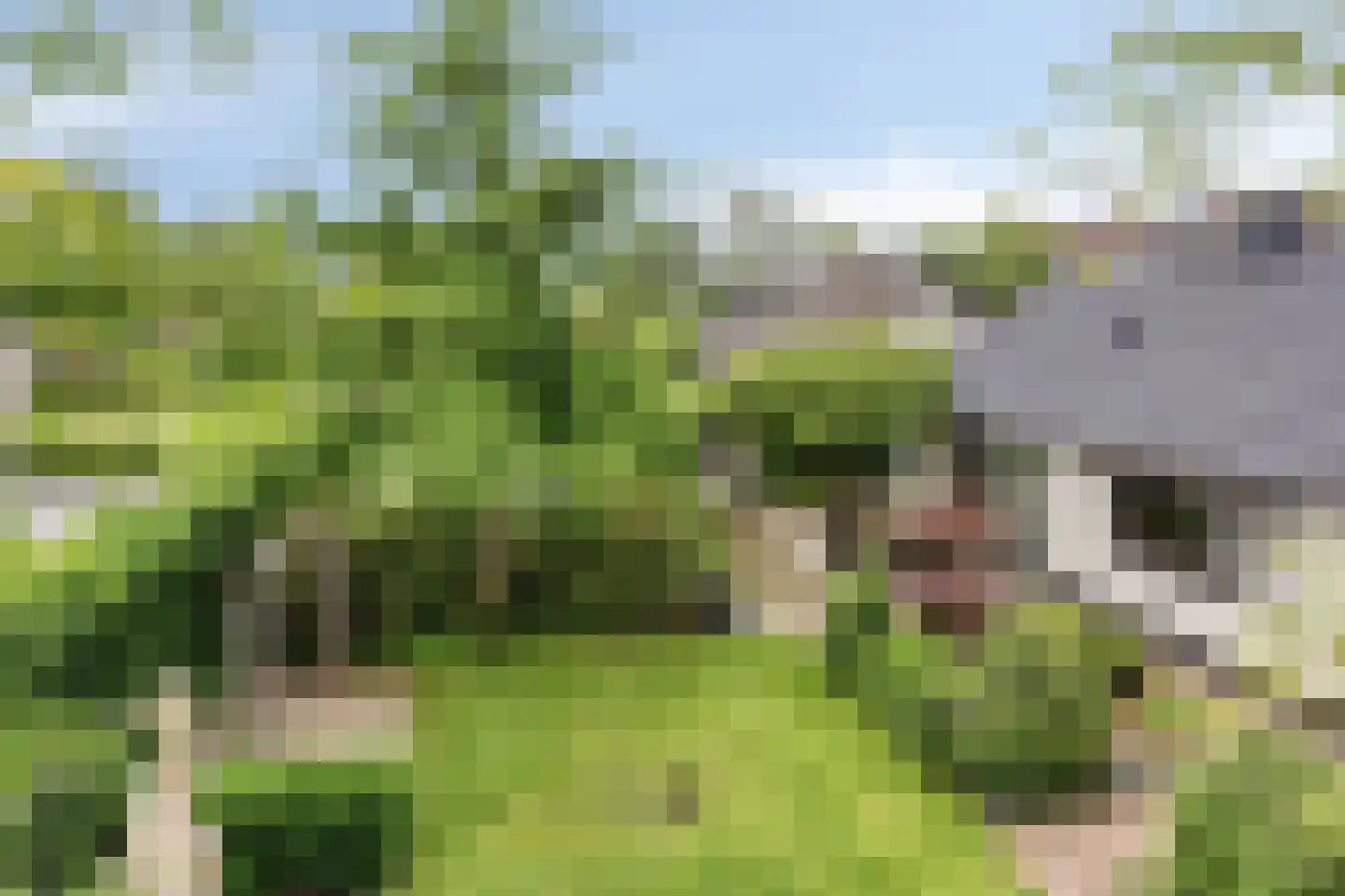 Sportlaan 32 Losser thumbnail 58