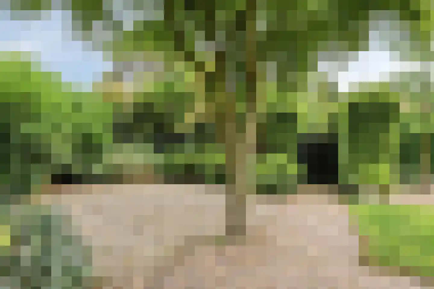 Sportlaan 32 Losser thumbnail 59
