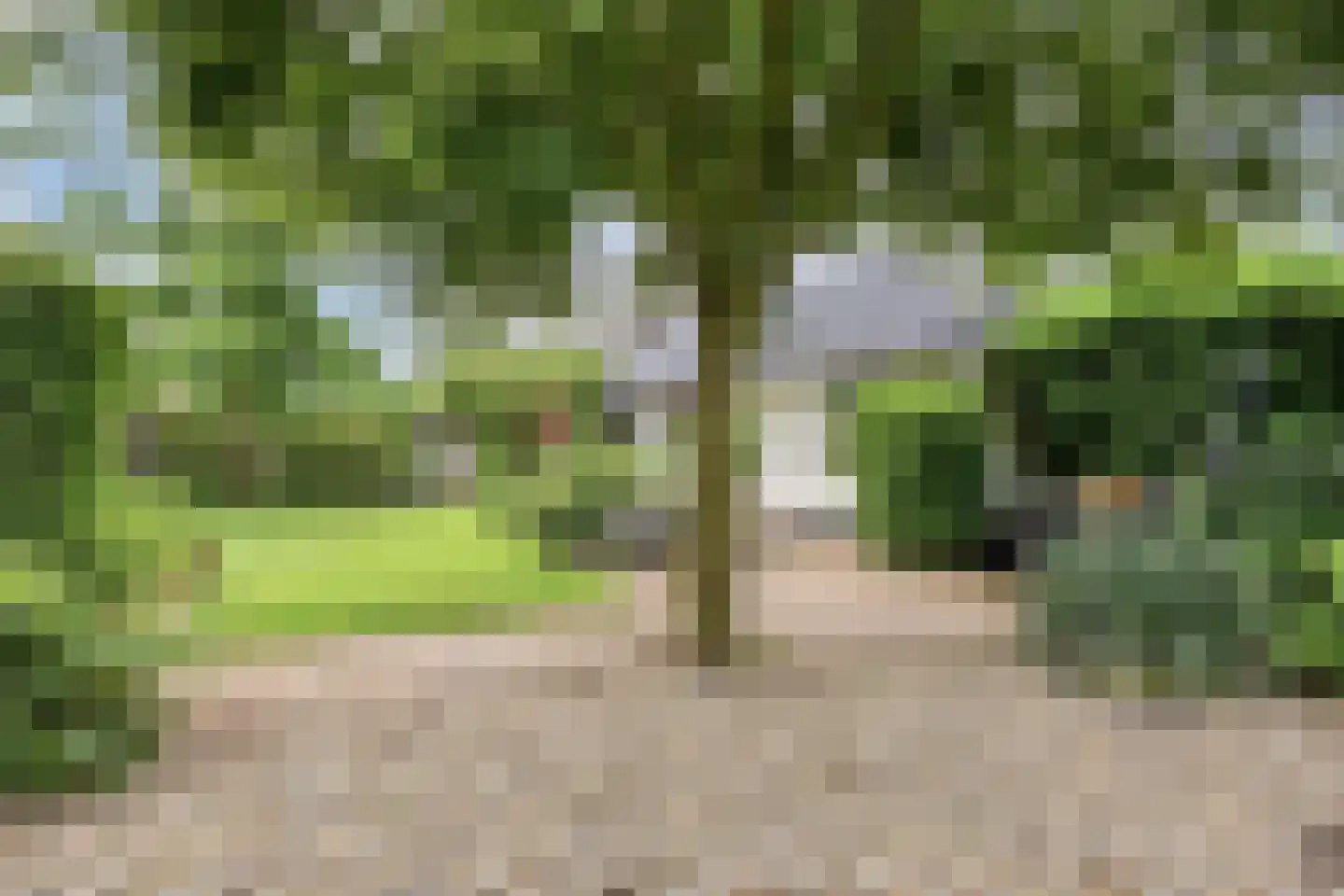 Sportlaan 32 Losser thumbnail 60