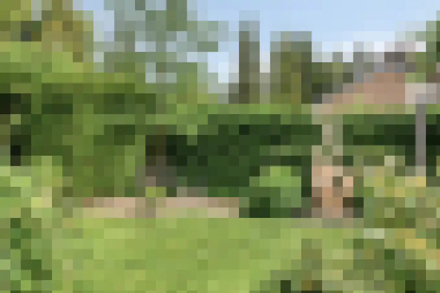 Sportlaan 32 Losser thumbnail 62