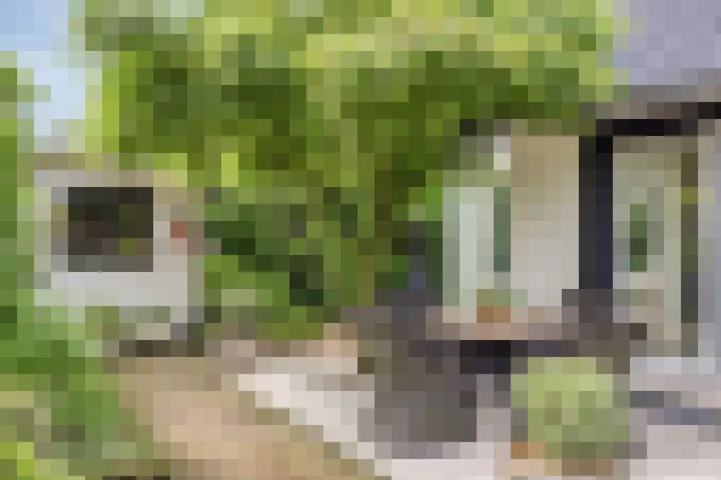 Sportlaan 32 Losser thumbnail 63