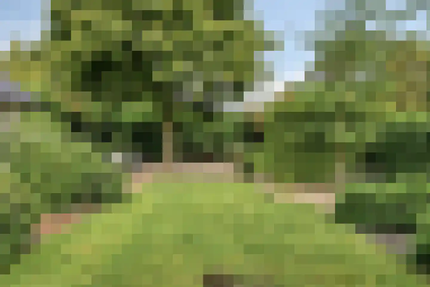 Sportlaan 32 Losser thumbnail 64