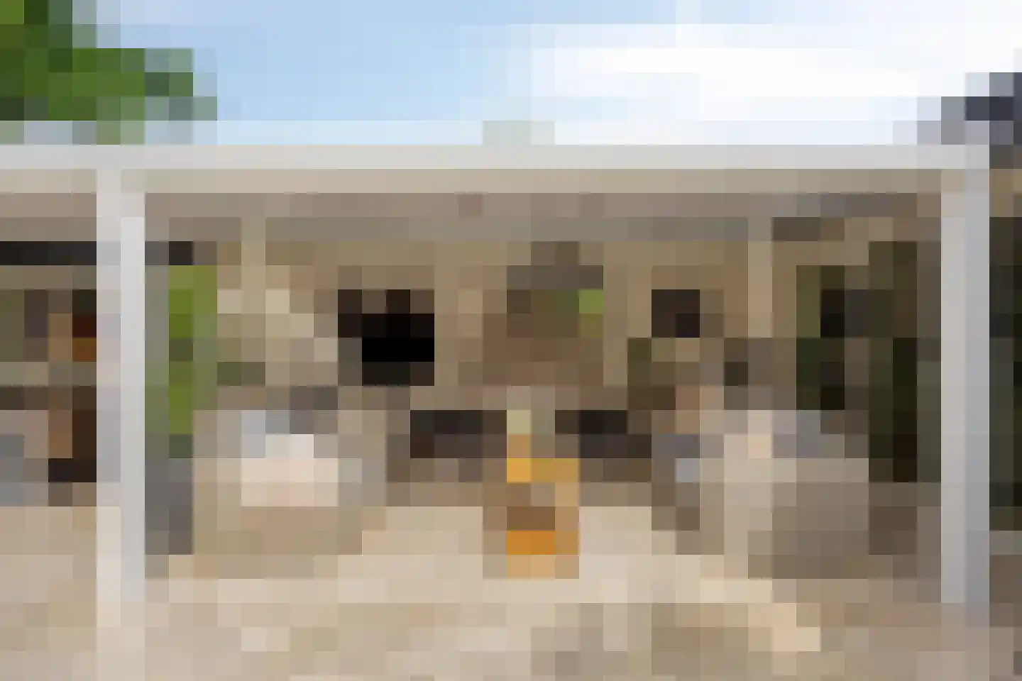 Sportlaan 32 Losser thumbnail 69
