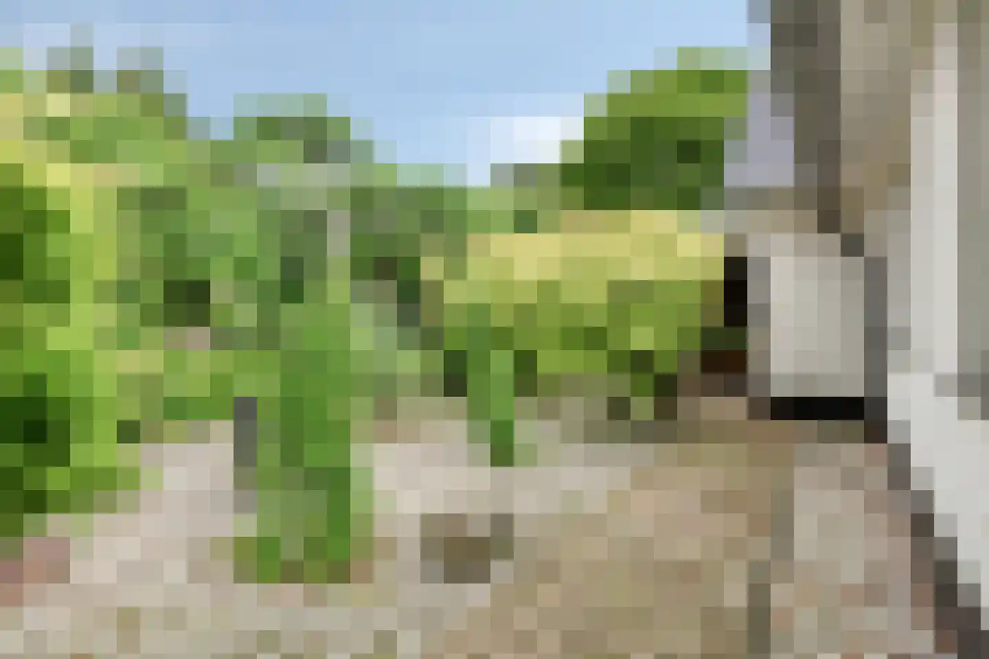 Sportlaan 32 Losser thumbnail 7