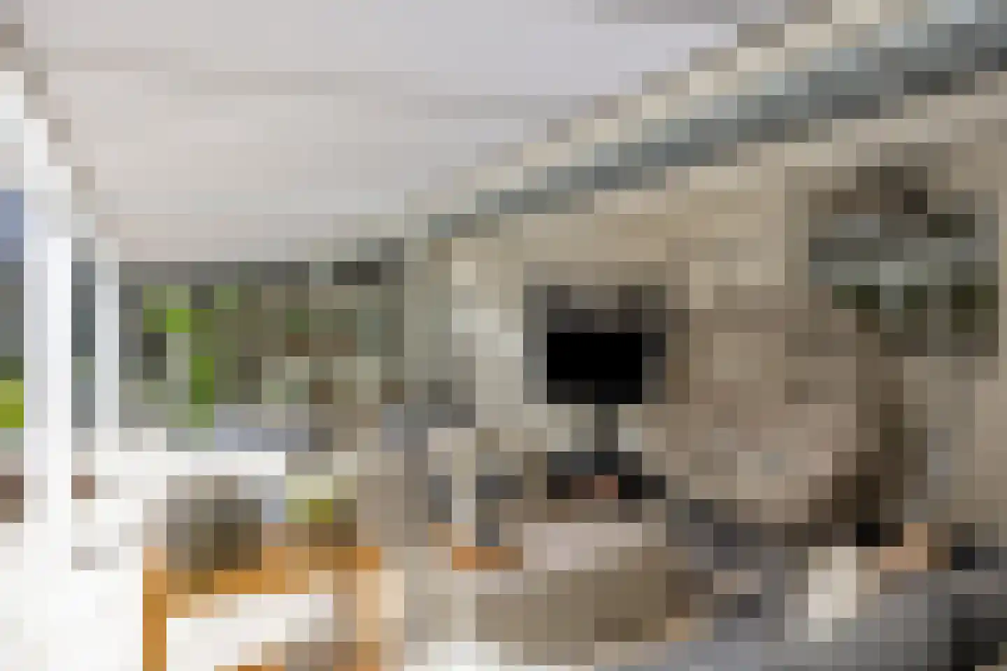 Sportlaan 32 Losser thumbnail 70