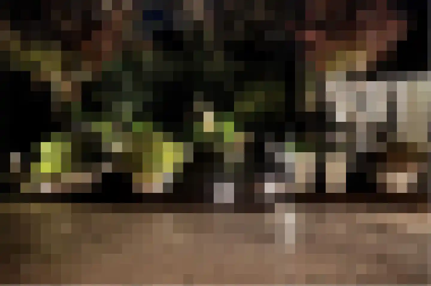 Sportlaan 32 Losser thumbnail 77