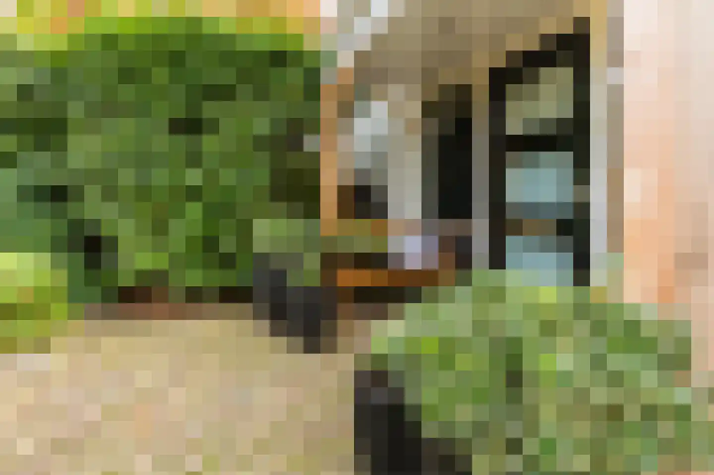 Sportlaan 32 Losser thumbnail 82