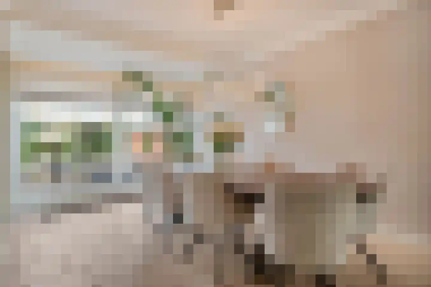 Sportlaan 327 Den Haag thumbnail 10