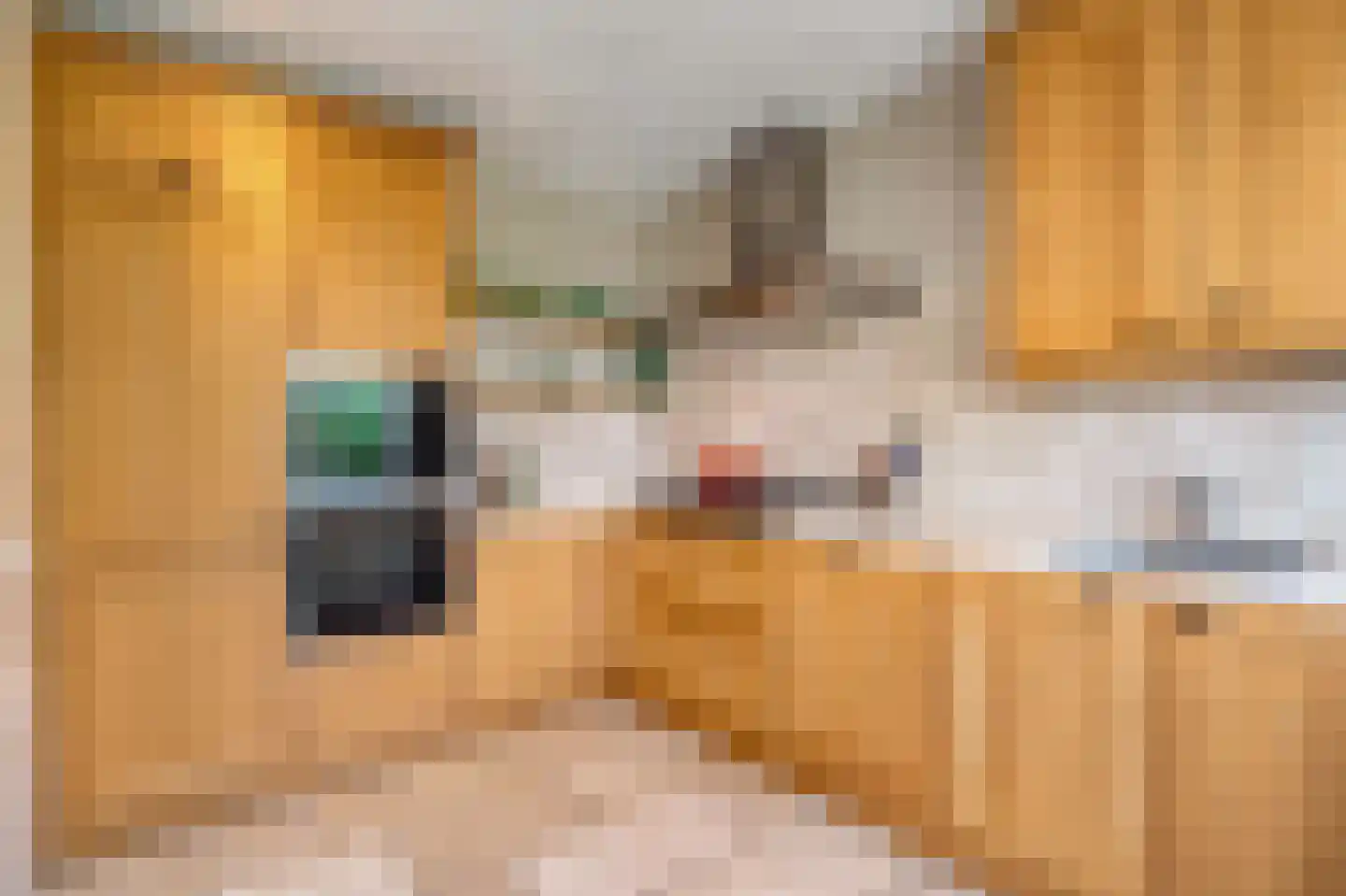 Sportlaan 327 Den Haag thumbnail 12