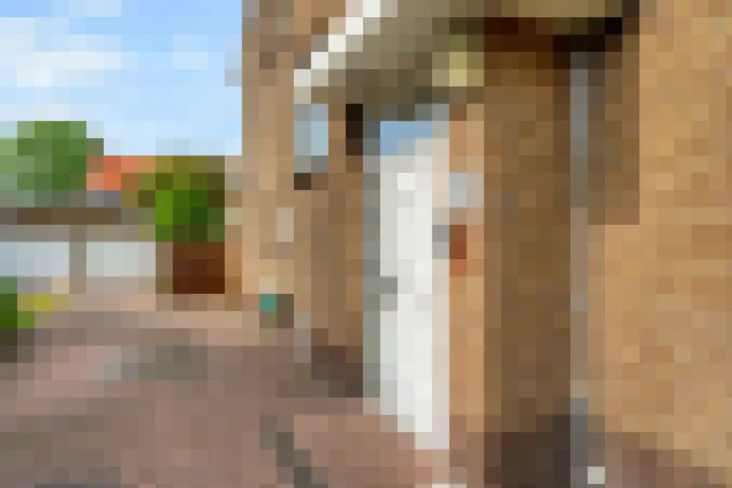 Sportlaan 327 Den Haag thumbnail 4