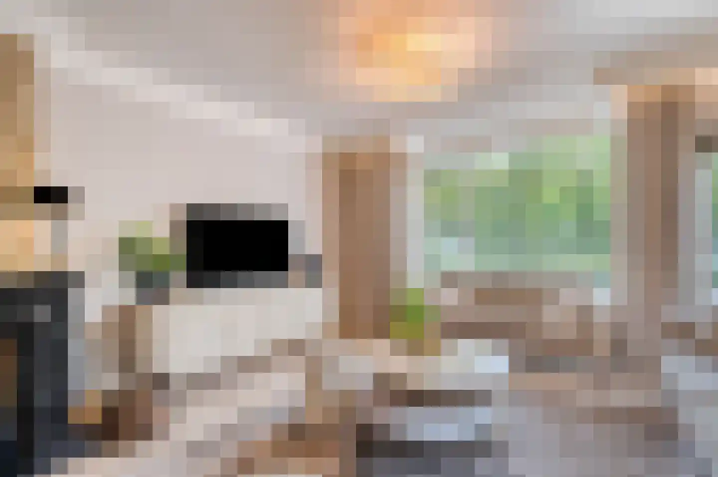 Sportlaan 327 Den Haag thumbnail 6