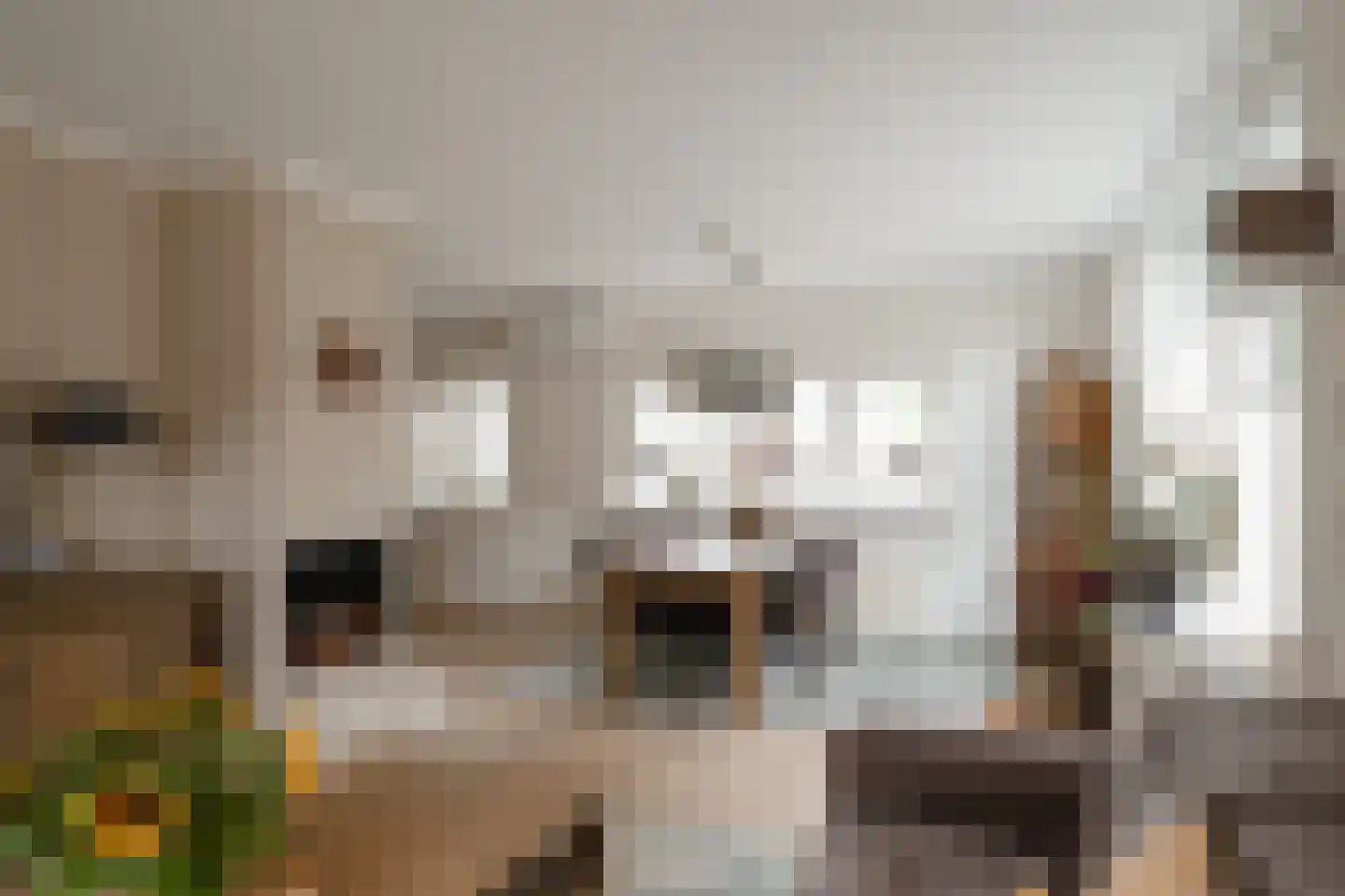 Sportlaan 33 Losser thumbnail 15