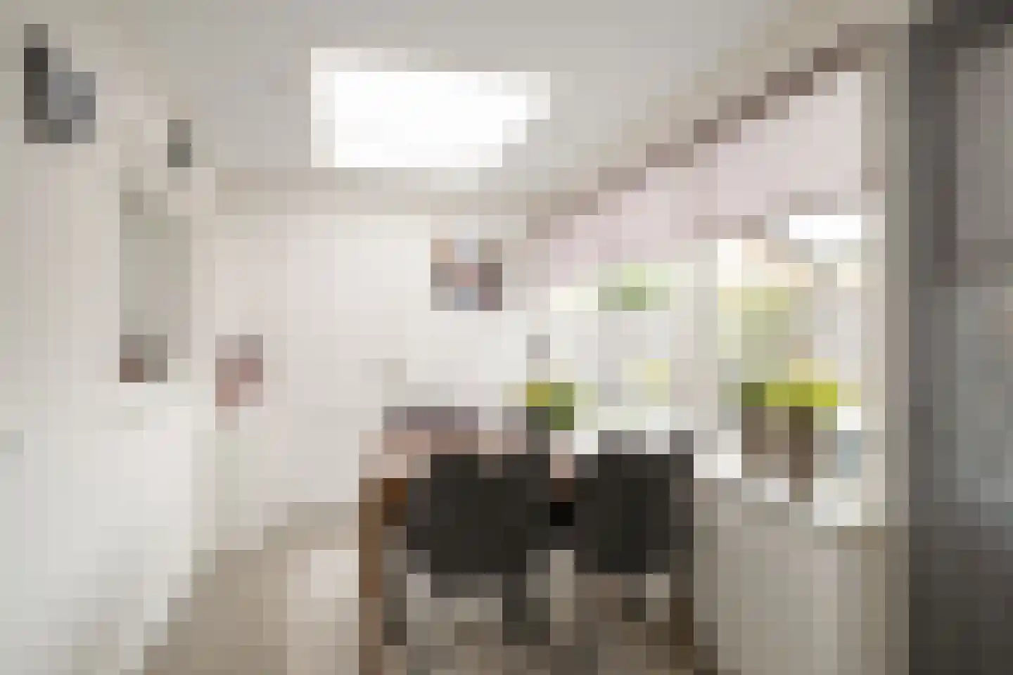 Sportlaan 33 Losser thumbnail 22