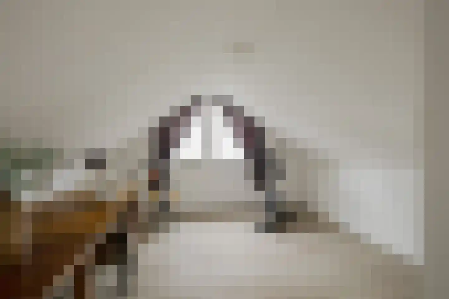 Sportlaan 33 Losser thumbnail 39