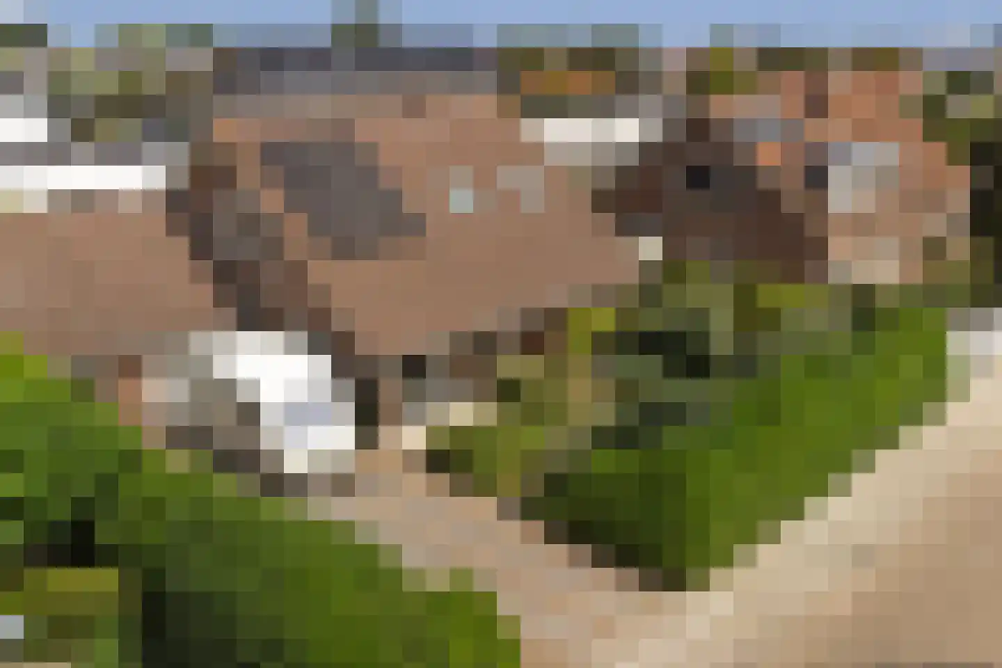 Sportlaan 33 Wissenkerke thumbnail 29